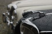 Jaguar Club Italia 2010 (50/161)
